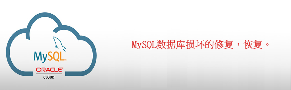 信阳市速全网络科(kē)技(jì )有(yǒu)限公(gōng)司